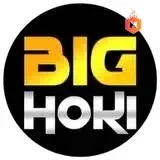 Logo bighoki